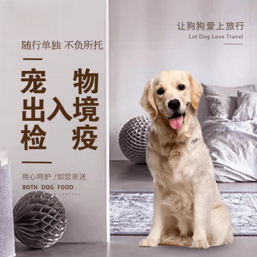 三沙市宠物托运到哥伦比亚猫狗宠物入境规定和