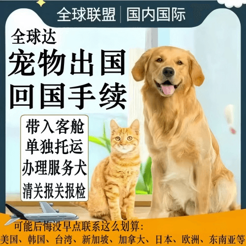 三沙市宠物托运到柬埔寨宠物入境规定和要求