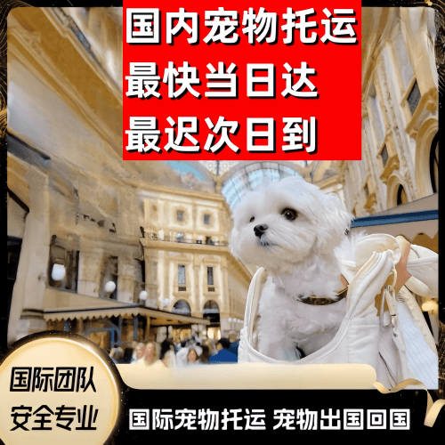 三沙市到澳大利亚（澳洲）宠物入境规定和要求