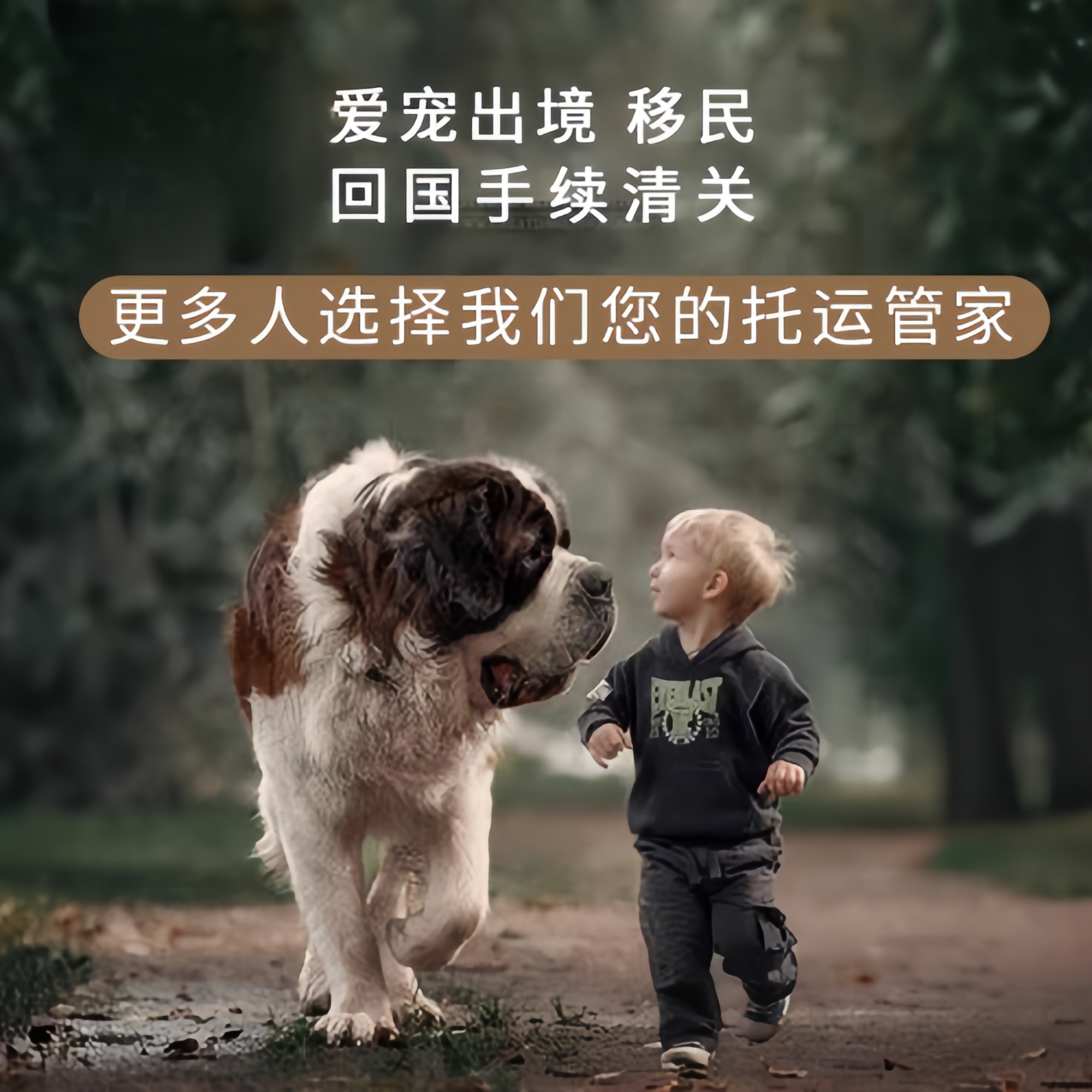 满财三沙市宠物全球达宠物托运在遵守入境目的地政策的条件