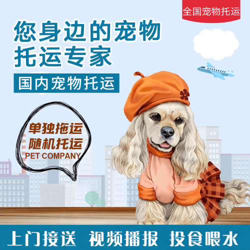 满财三沙市宠物全球达宠物托运作为专业的宠物运输代理机构
